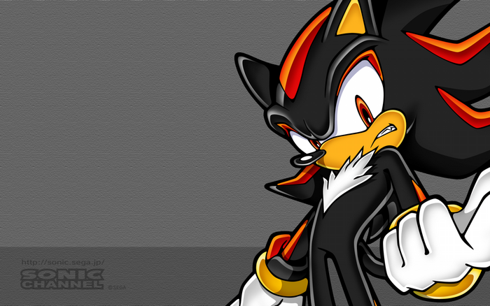 Shadow the Hedgehog from Sonic the Hedgehog
