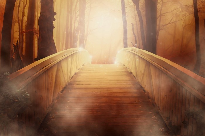 Wooden bridge in a misty forest with glowing light