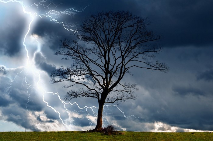 Lightning Strike Behind Solitary Tree on Stormy Plain