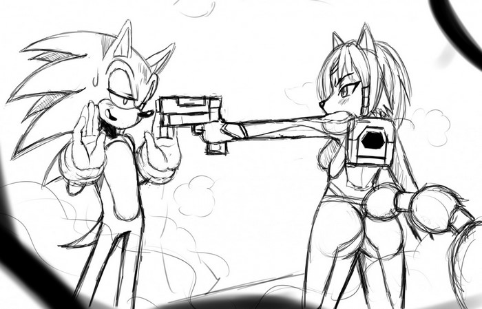 Sonic the Hedgehog and Krystal from Star Fox with a gun