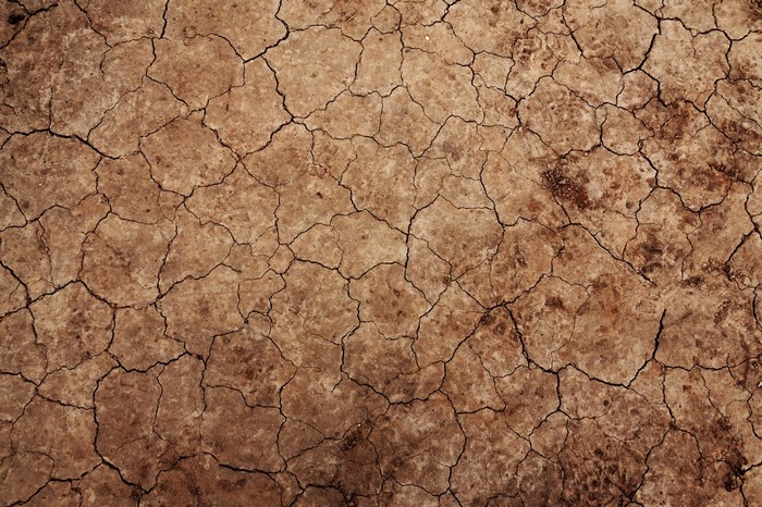 Cracked dry earth texture