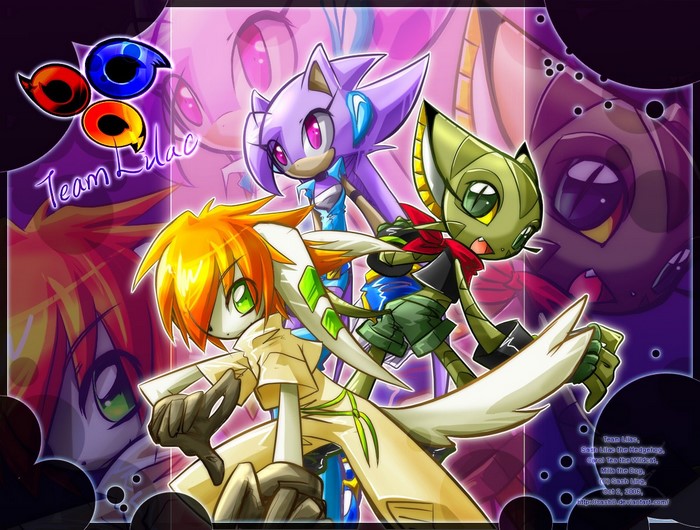 Team Lilac from Freedom Planet