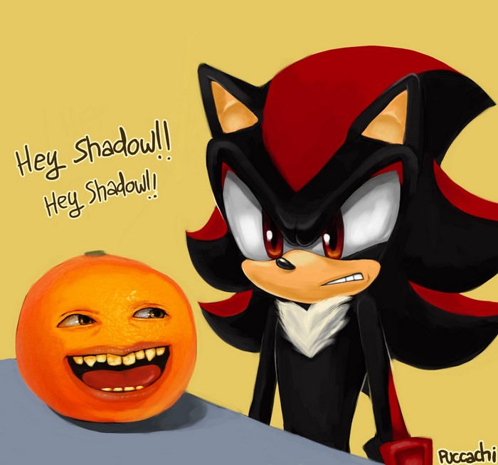Shadow the Hedgehog and Annoying Orange meme