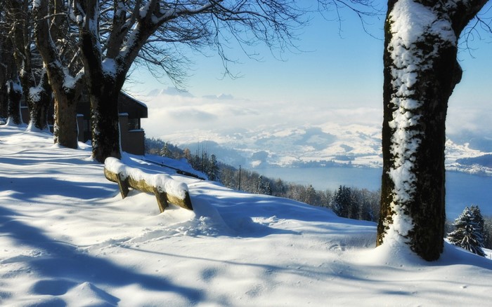 Snowy landscape with trees and mountains