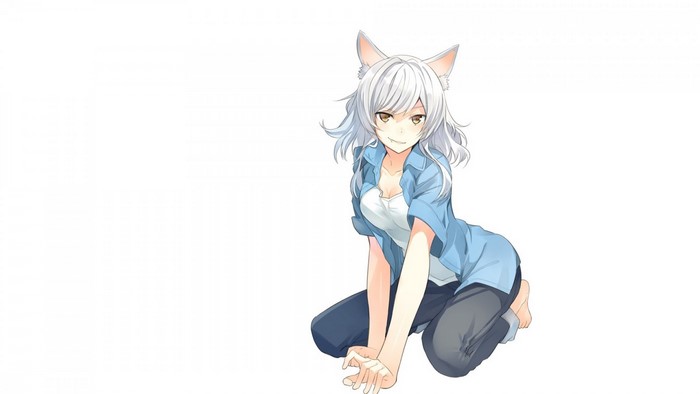 Hanekawa Tsubasa from Monogatari Series