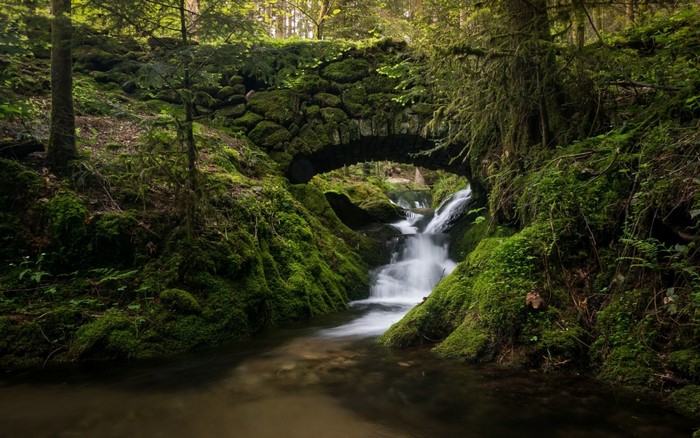 Moss-covered stone bridge over a forest stream with a waterfall