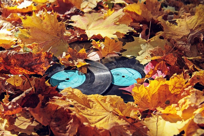 Two vinyl records among fallen autumn leaves