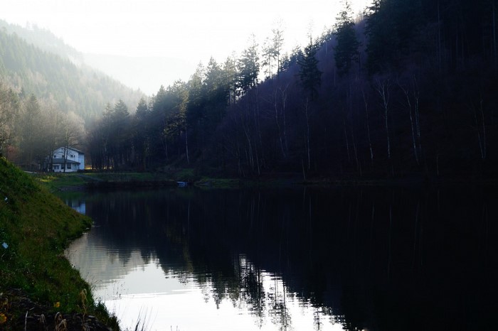 House by a lake with misty forest and reflections