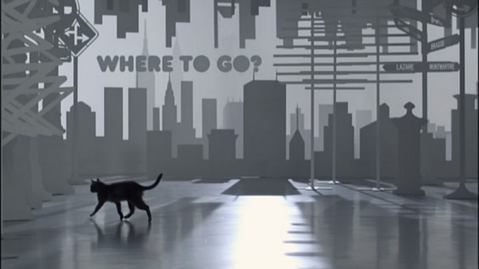 Black cat walks in a monochrome city with "WHERE TO GO?" text