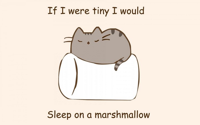 Pusheen the cat sleeping on a marshmallow