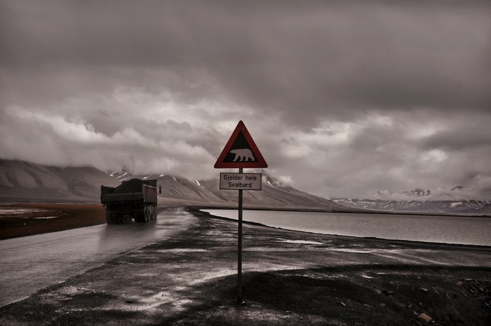 Polar bear warning sign on a road in Svalbard