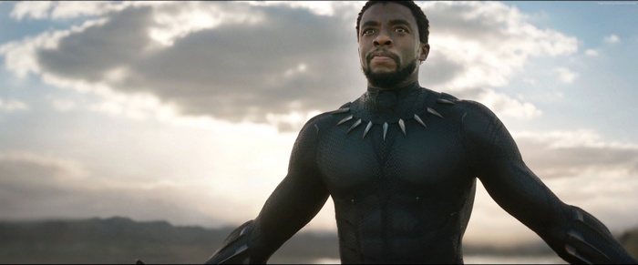 Black Panther from Black Panther