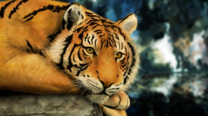 Tiger resting on a rock