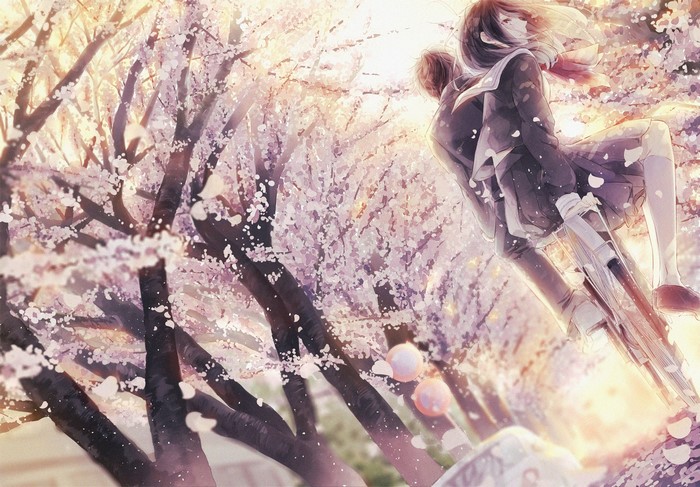 Anime couple on a bicycle under cherry blossoms