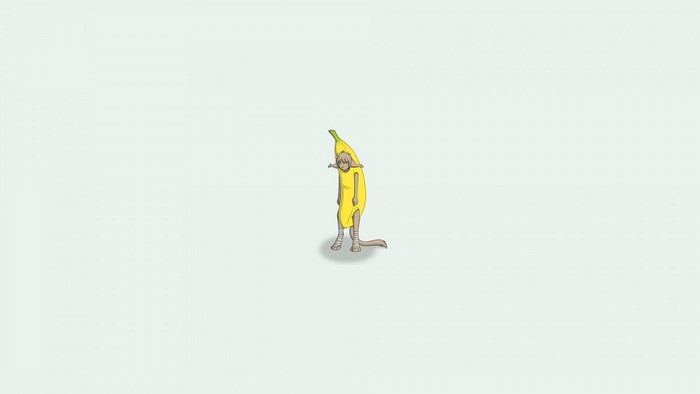 Cat in a banana costume