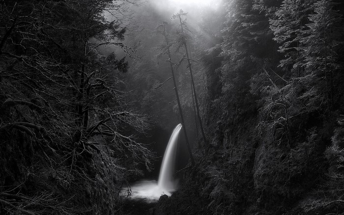 Misty forest with a waterfall in black and white