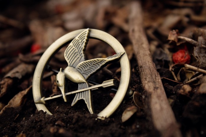 Mockingjay pin from The Hunger Games on the ground