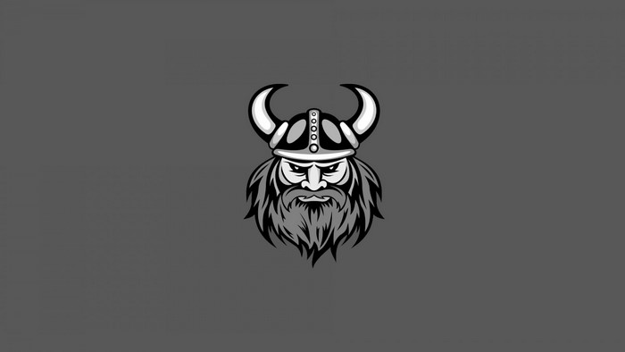 Viking warrior illustration