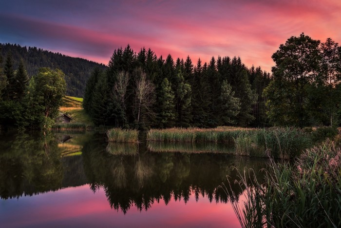 Sunset over a forest lake with reflections