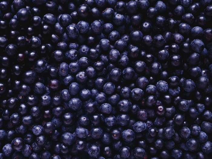 Close up of dark blueberries, macro photography