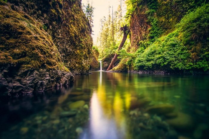 Waterfall in a mossy canyon with a river