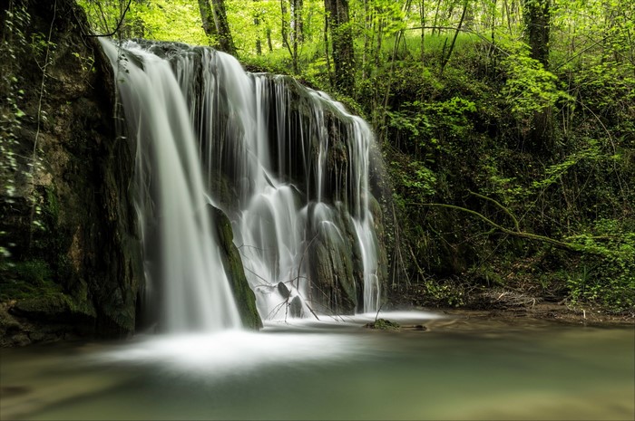 Waterfall in a lush green forest