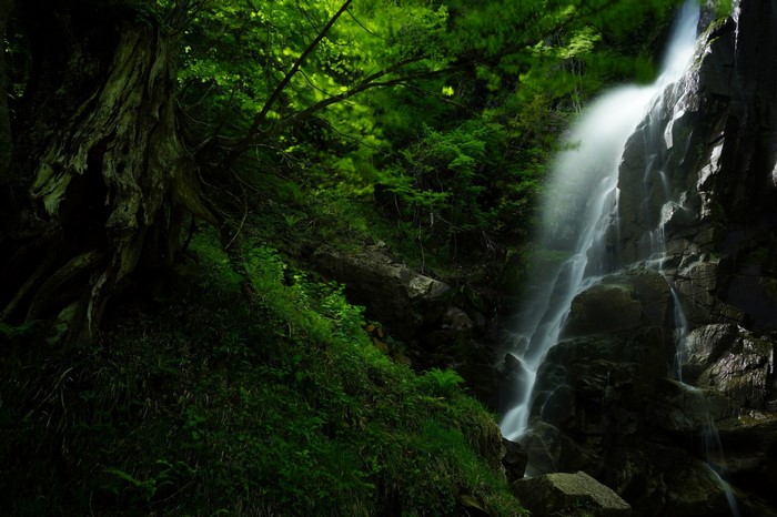 Waterfall cascading down rocks in a dense green forest