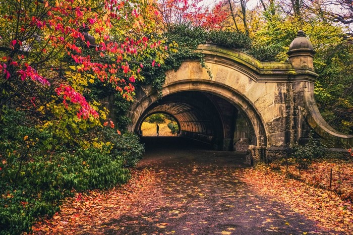 Stone bridge archway in autumn park with colorful leaves