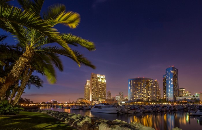 San Diego cityscape at dusk with palm trees and marina