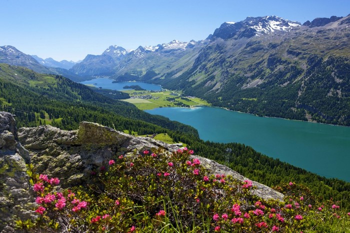 Alpine lake and mountains with wildflowers