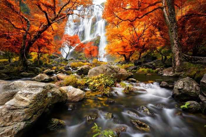 Waterfall in autumn forest with vibrant orange trees
