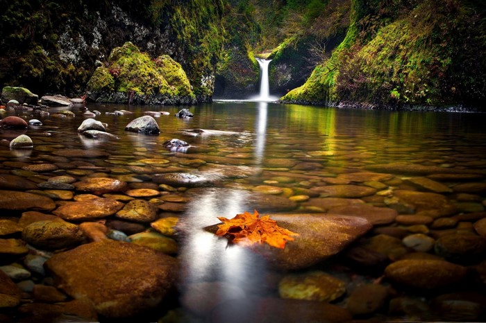 Waterfall flowing into a rocky river with autumn leaves