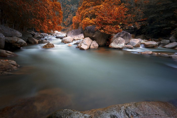 Autumn river flowing through rocks and trees