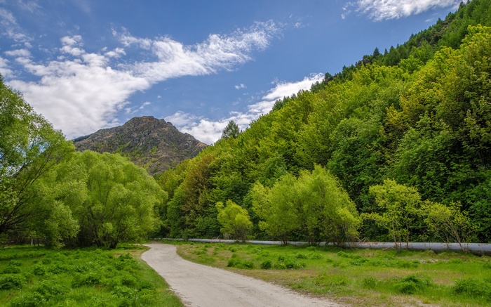 Dirt road through a green forest with mountains