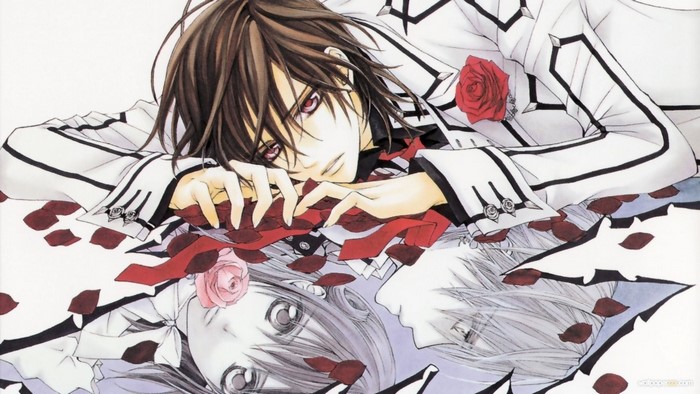 Zero Kiryu and Kaname Kuran from Vampire Knight