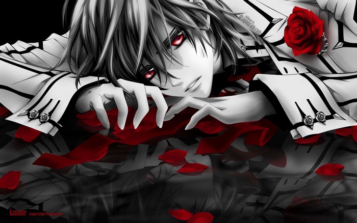 Kaname from Vampire Knight