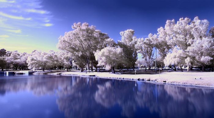 Lake reflection with white trees and blue sky