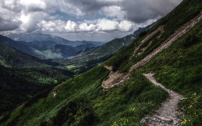 Mountain trail winding through green slopes under cloudy sky