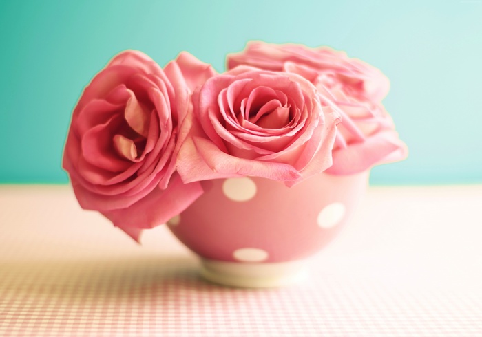 Pink Roses in a Polka Dot Mug