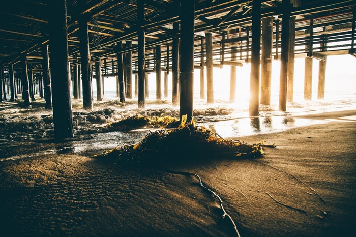 Sunlight shining through a pier on a beach with seaweed