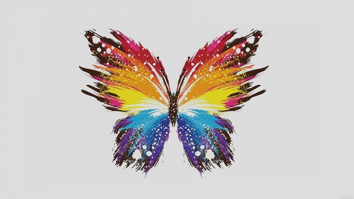 Colorful butterfly with paint splatter effect