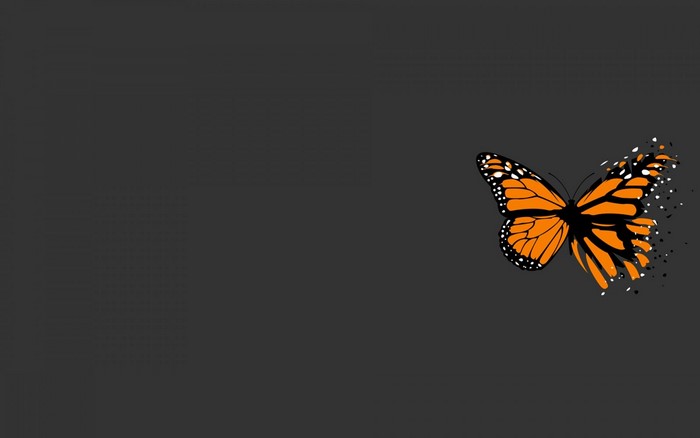 Monarch butterfly dissolving into particles