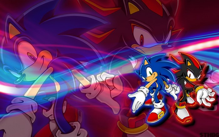 Sonic the Hedgehog and Shadow the Hedgehog illustration