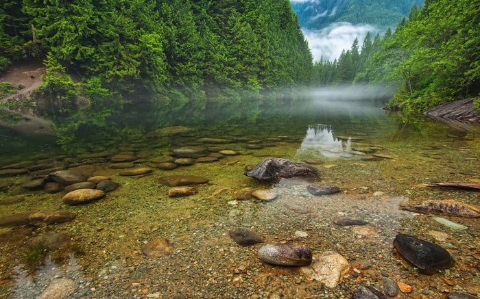 Clear lake with rocks and evergreen forest