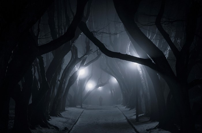 A lone figure walks down a foggy, tree-lined path at night.