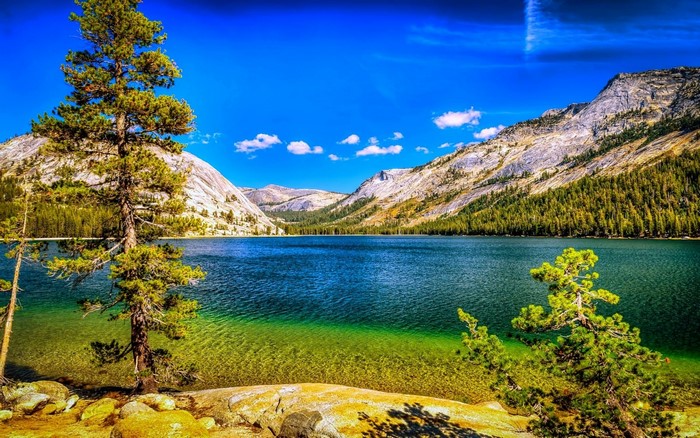 trees, landscape, forest, mountains, lake, nature, reflection, sky ...