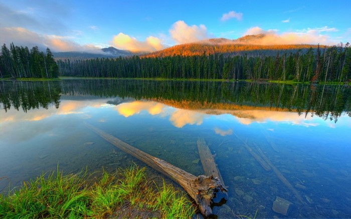 Lake reflection of forest and mountains at sunrise