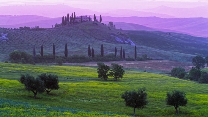 Tuscany landscape with cypress trees and rolling hills