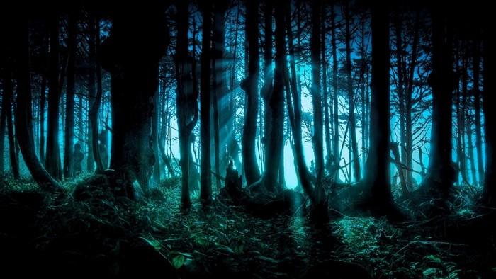 Dark forest with blue light and sunbeams