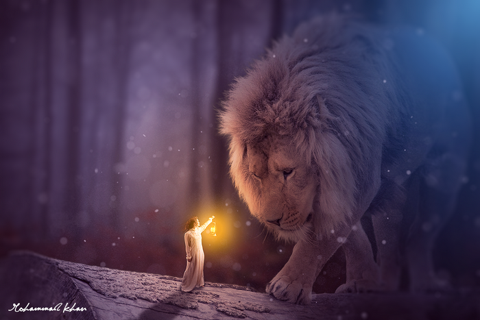 Girl with lantern meets a lion in a fantasy forest